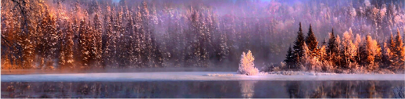 Procedimento não cirurgico